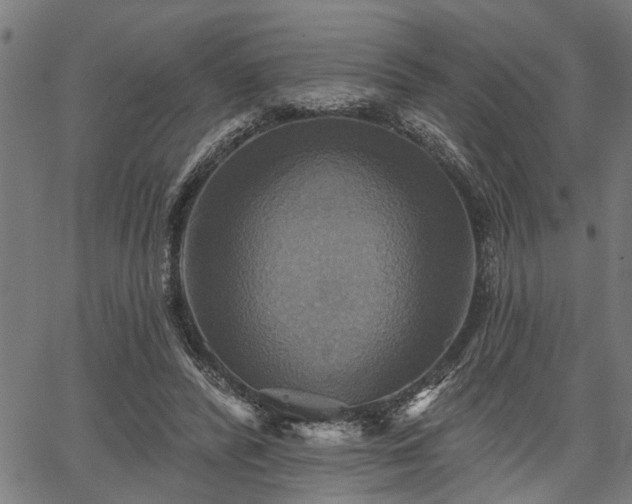 X0000067350400200604030939