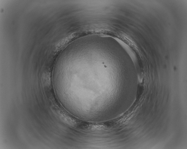 X0000067350401200604030939