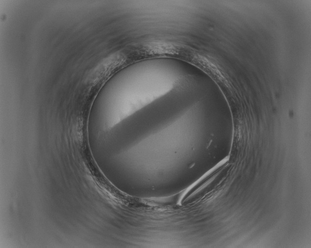 X0000067350402200604030939