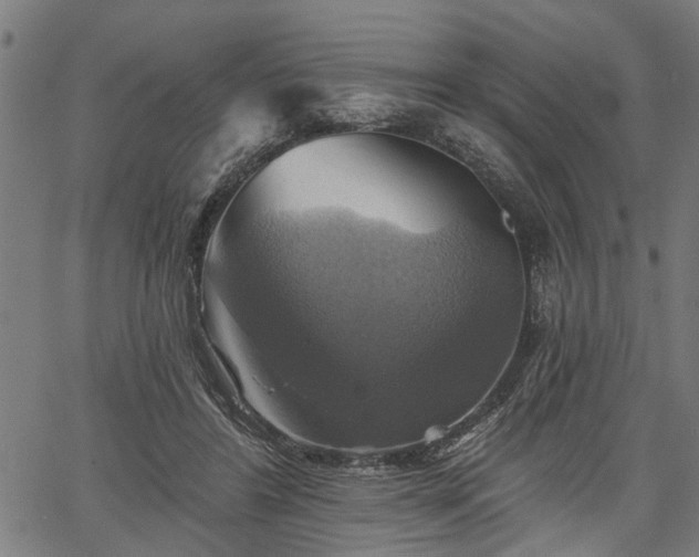 X0000067350404200604030939