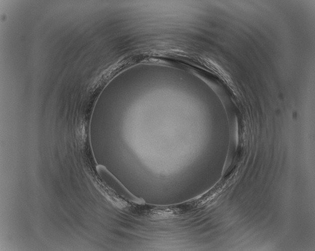 X0000067350405200604030939