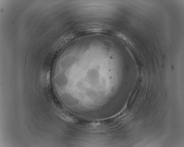 X0000067350406200604030939