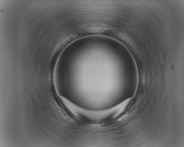 X0000067350407200604030939