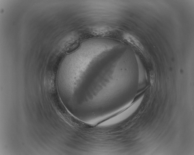 X0000067350408200604030939