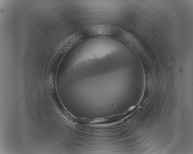 X0000067350410200604030939