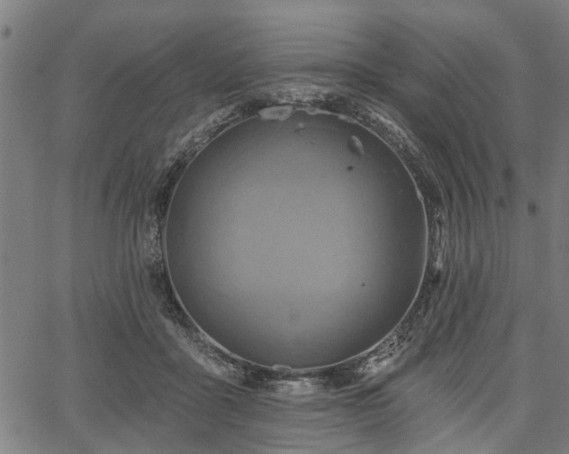 X0000067350411200604030939