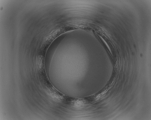 X0000067350412200604030939