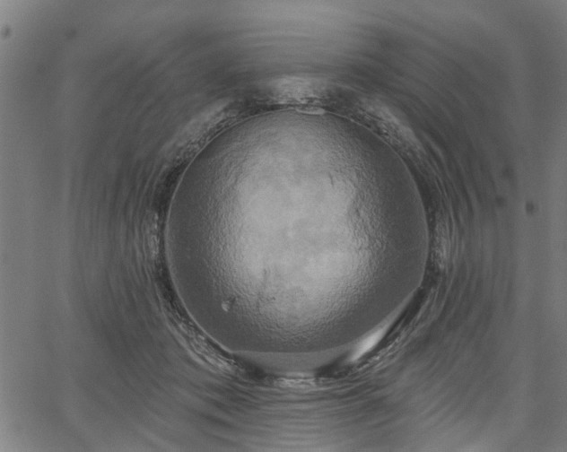 X0000067350413200604030939