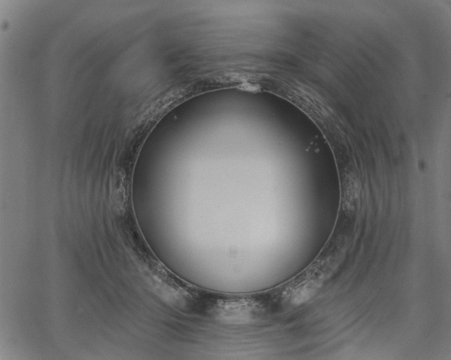 X0000067350414200604030939