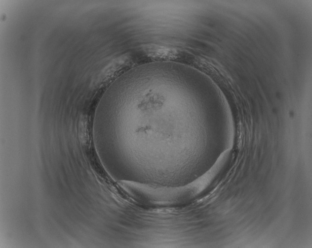 X0000067350416200604030939