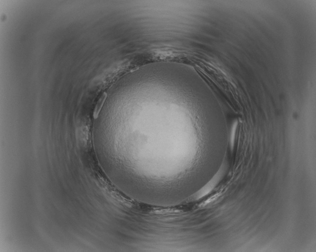 X0000067350417200604030939