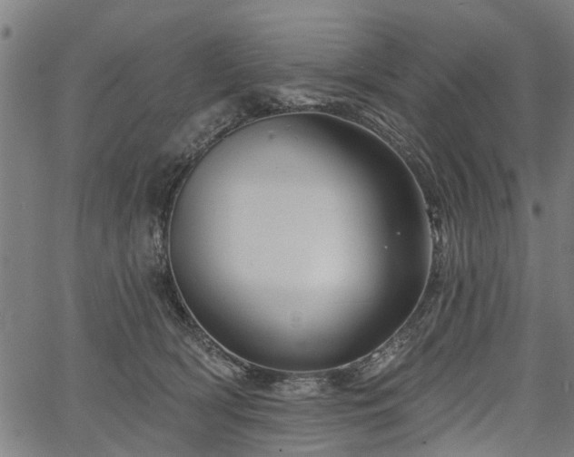 X0000067350418200604030939