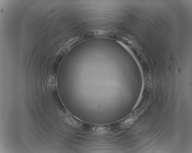 X0000067350419200604030939