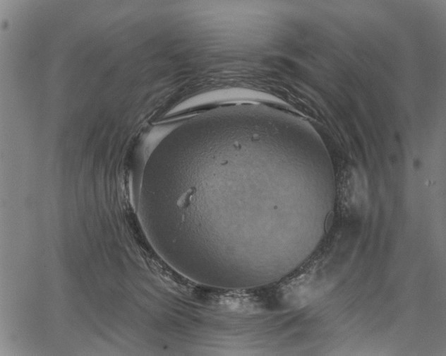 X0000067350420200604030939