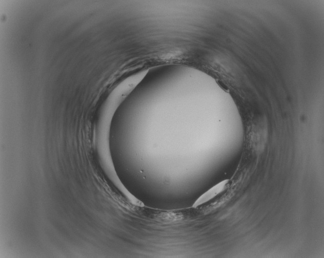 X0000067350421200604030939