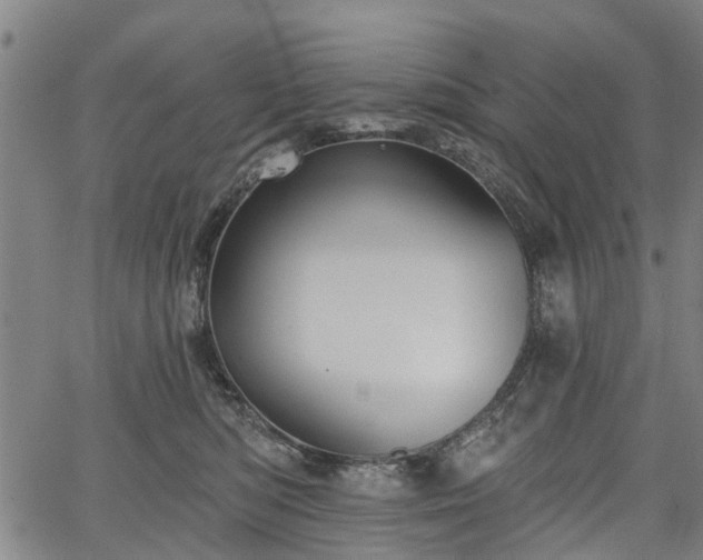 X0000067350422200604030939