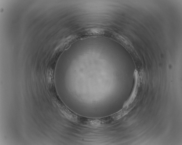 X0000067350423200604030939