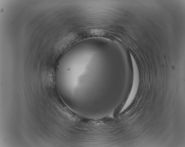 X0000067350424200604030939