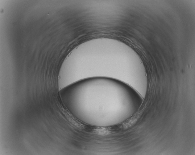 X0000067350425200604030939