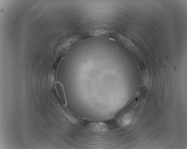 X0000067350427200604030939