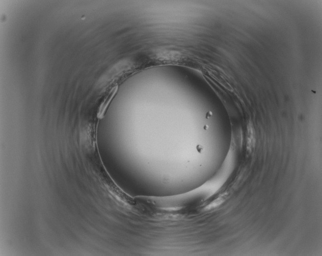 X0000067350428200604030939