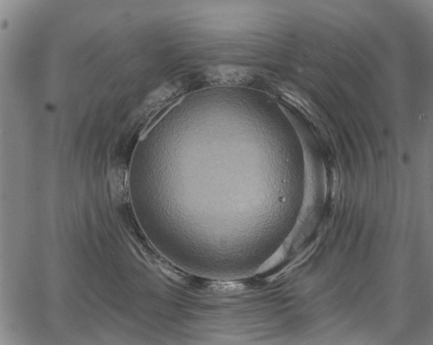 X0000067350429200604030939