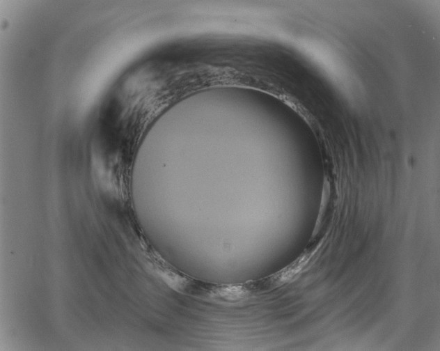 X0000067350431200604030938