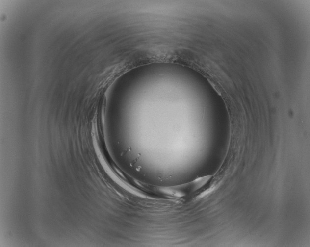 X0000067350432200604030938