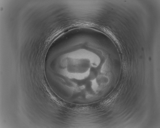 X0000067350433200604030938