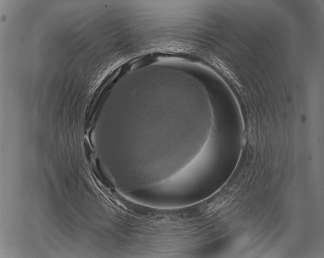 X0000067350434200604030938