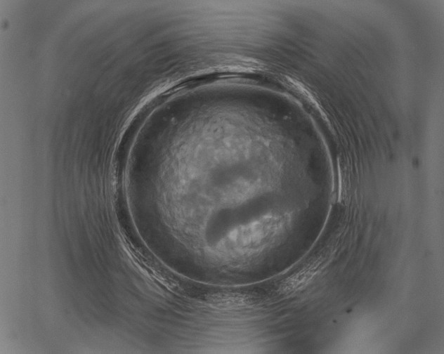 X0000067350435200604030938