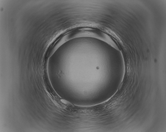 X0000067350436200604030938