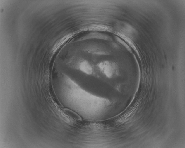 X0000067350437200604030938