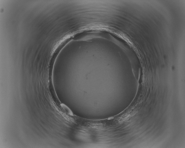 X0000067350438200604030938