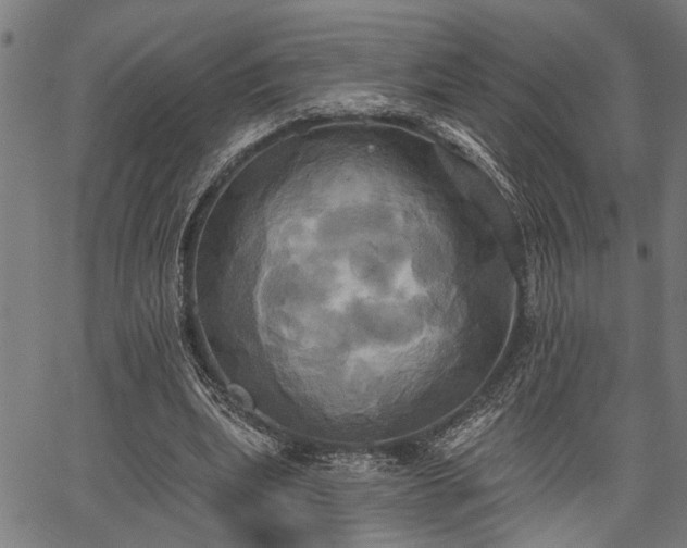 X0000067350439200604030938