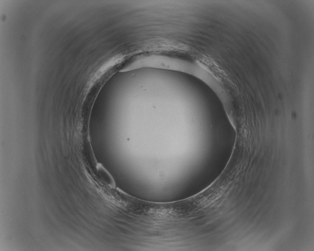 X0000067350440200604030938