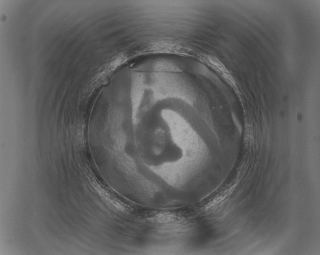 X0000067350441200604030938