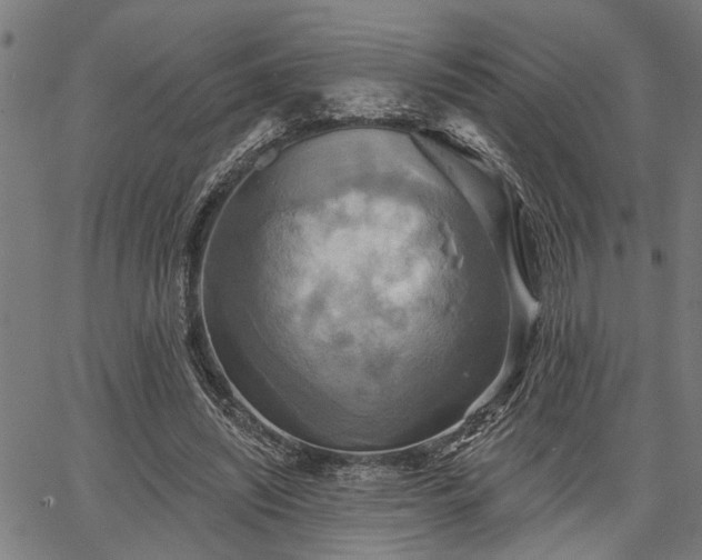 X0000067350444200604030938