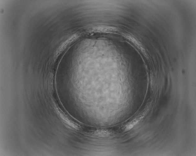 X0000067350445200604030938