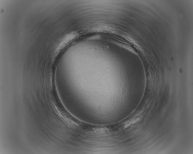 X0000067350446200604030938