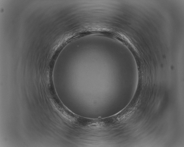 X0000067350447200604030938