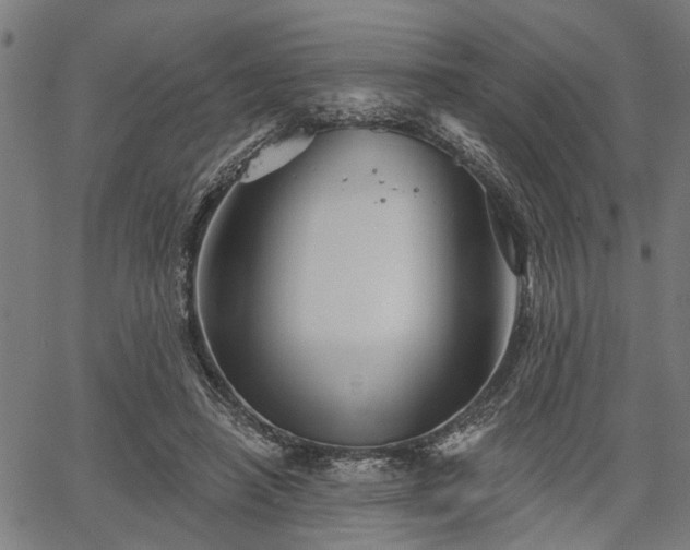 X0000067350450200604030938