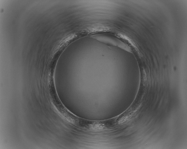 X0000067350451200604030938