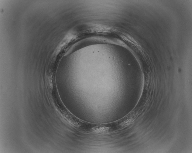 X0000067350452200604030938