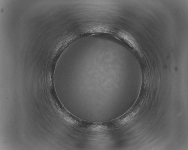 X0000067350453200604030938