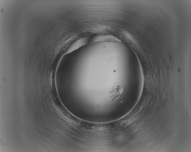 X0000067350454200604030938