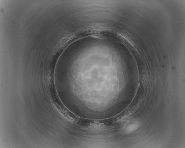 X0000067350455200604030938