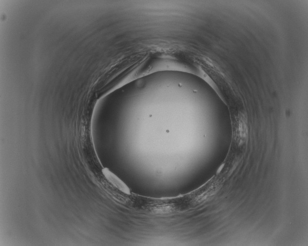 X0000067350456200604030938