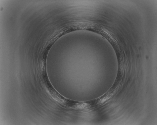 X0000067350459200604030938