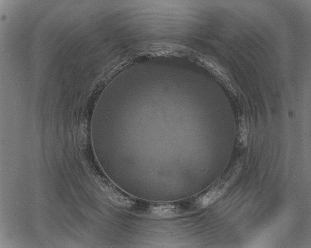 X0000067350461200604030938